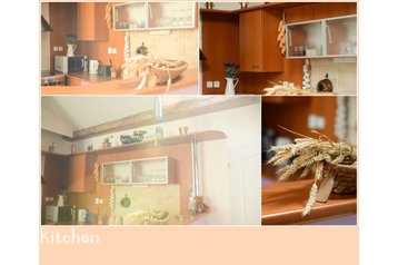 Alloggio presso privati Praga / Praha 1